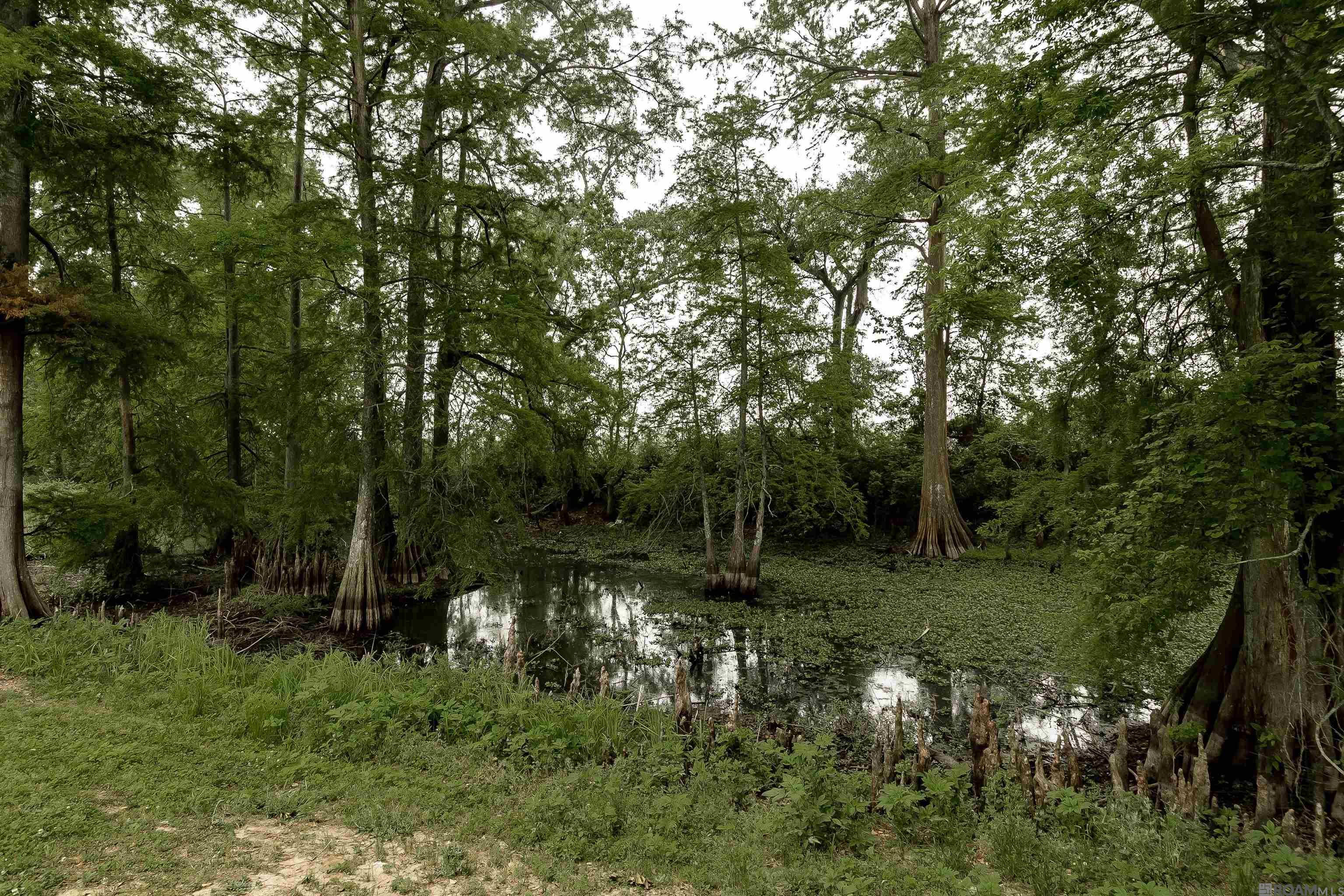 4940 Pointe Prospect Dr, Oscar, Louisiana image 16