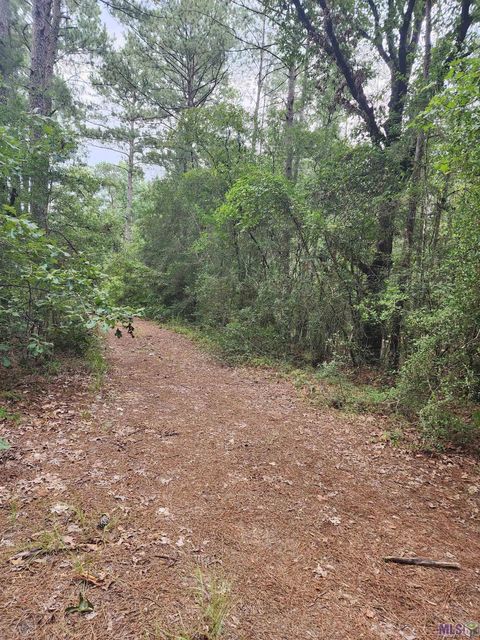 Vacant Land For Sale - 1745 Wardline Rd<br/> Saint Helena County, Greensburg, LA 70441