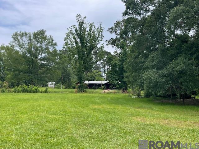 25265 Merchant Rd, Denham Springs, Louisiana image 1