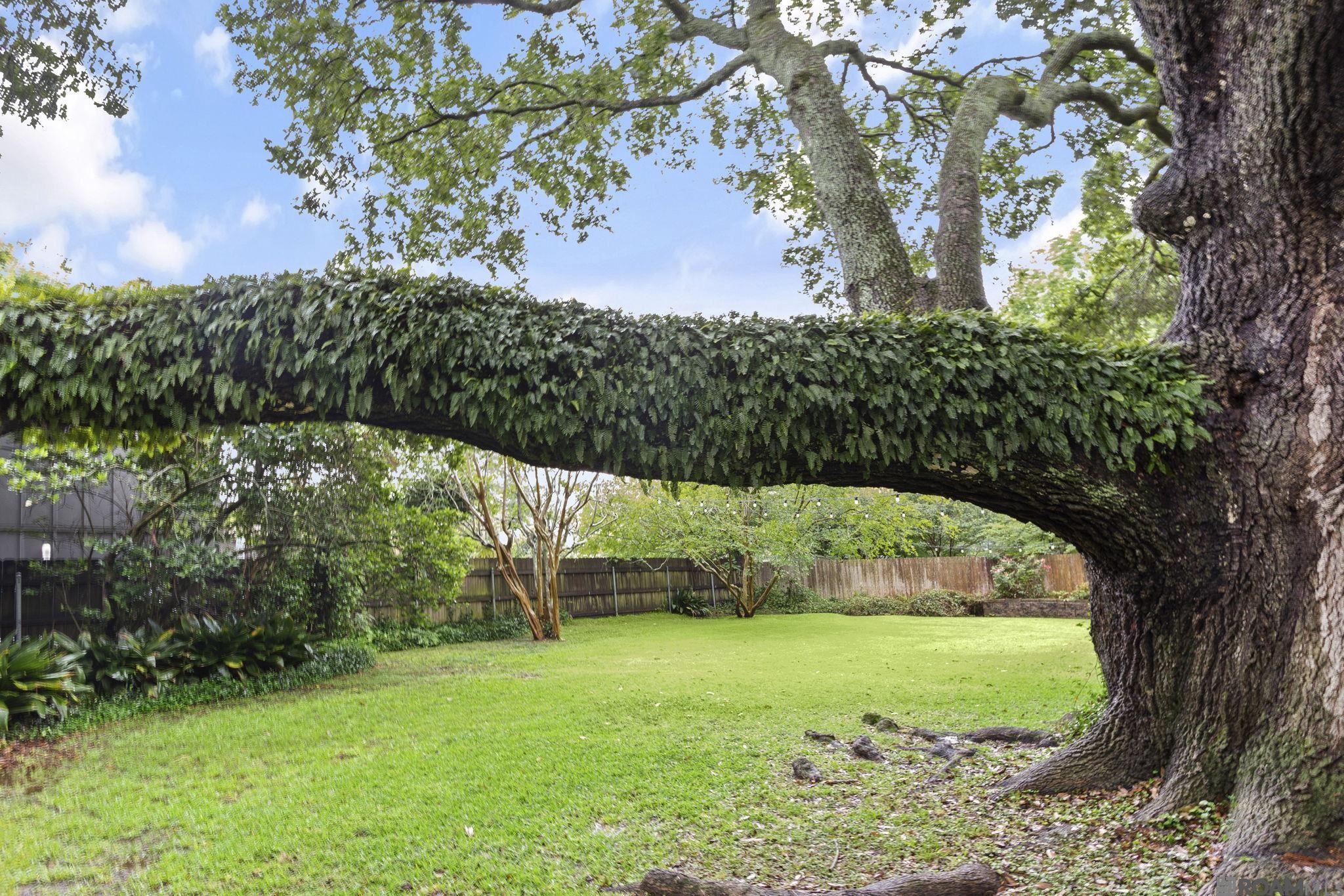 4112 Chatfield Ave, Baton Rouge, Louisiana image 24