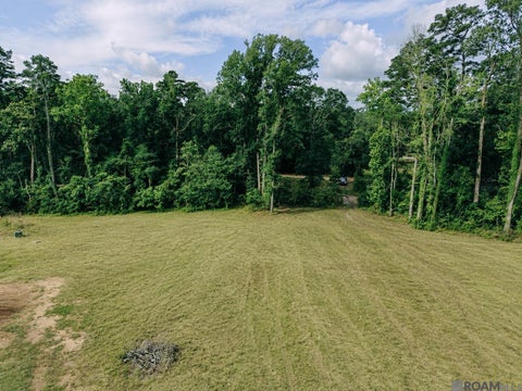 Vacant Land For Sale - 8637 Wildwood Dr<br/> Denham Springs, LA 70706