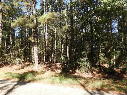 TBD LA HWY 1042, GREENSBURG, LA 70441 - Image f78c4505a5ddcf3eee019906ea7da985/643367288