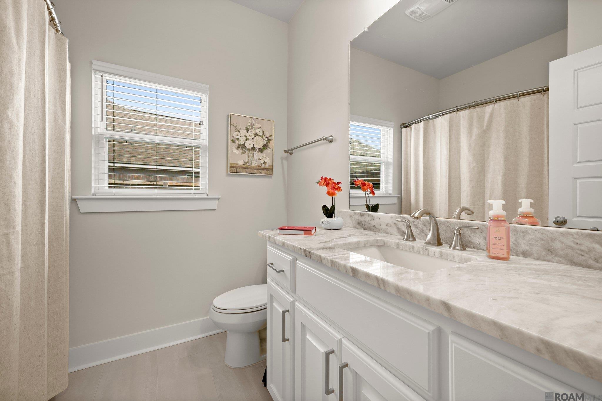 13763 Pinyon Dr, Denham Springs, Louisiana image 18