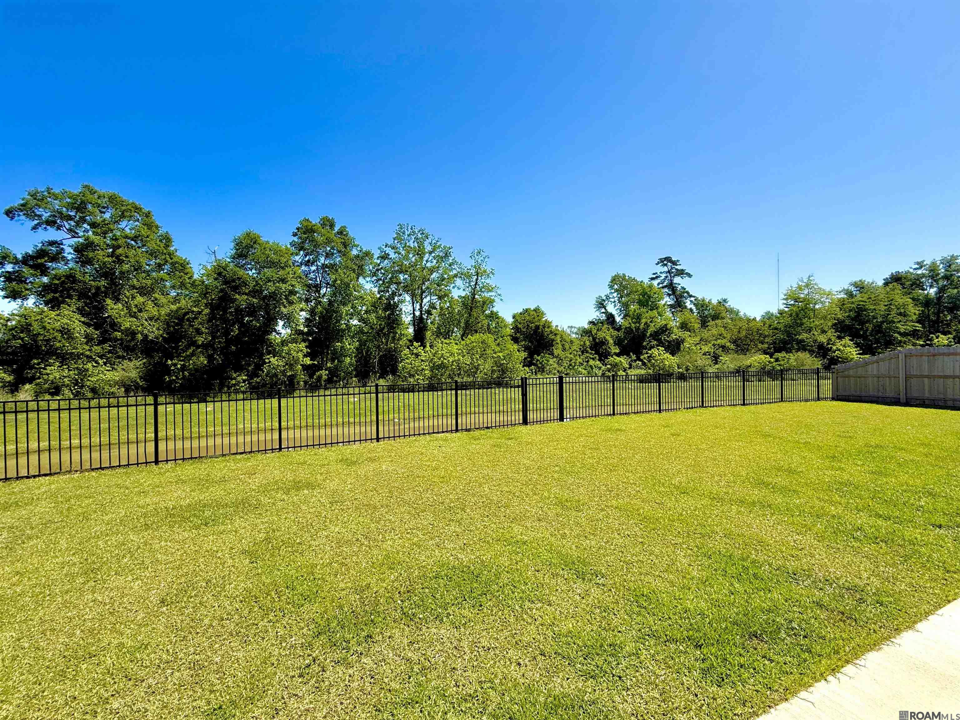 13763 Pinyon Dr, Denham Springs, Louisiana image 13
