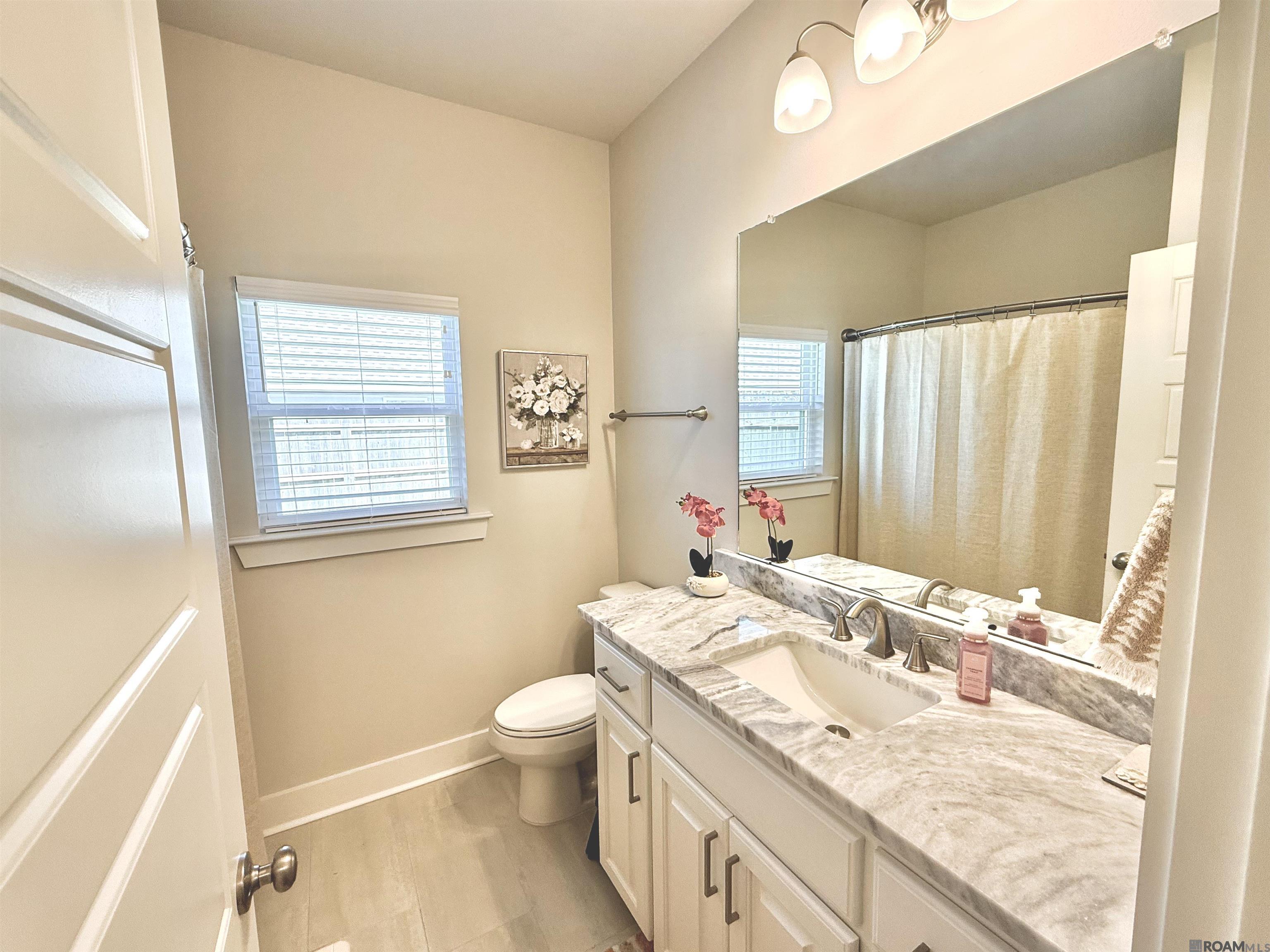 13763 Pinyon Dr, Denham Springs, Louisiana image 8