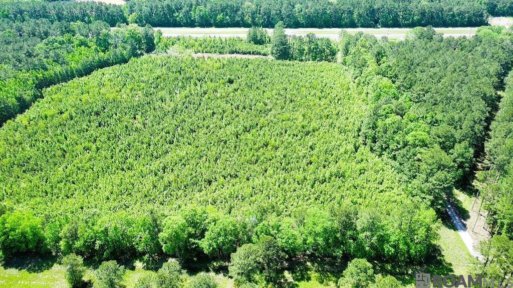 A 2 Basile Eunice Hwy, Eunice, Louisiana image 9