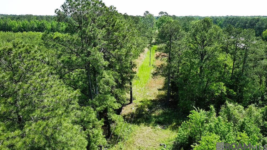 A 2 Basile Eunice Hwy, Eunice, Louisiana image 7