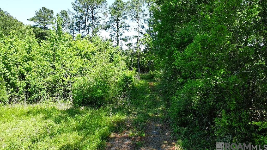 A 2 Basile Eunice Hwy, Eunice, Louisiana image 6