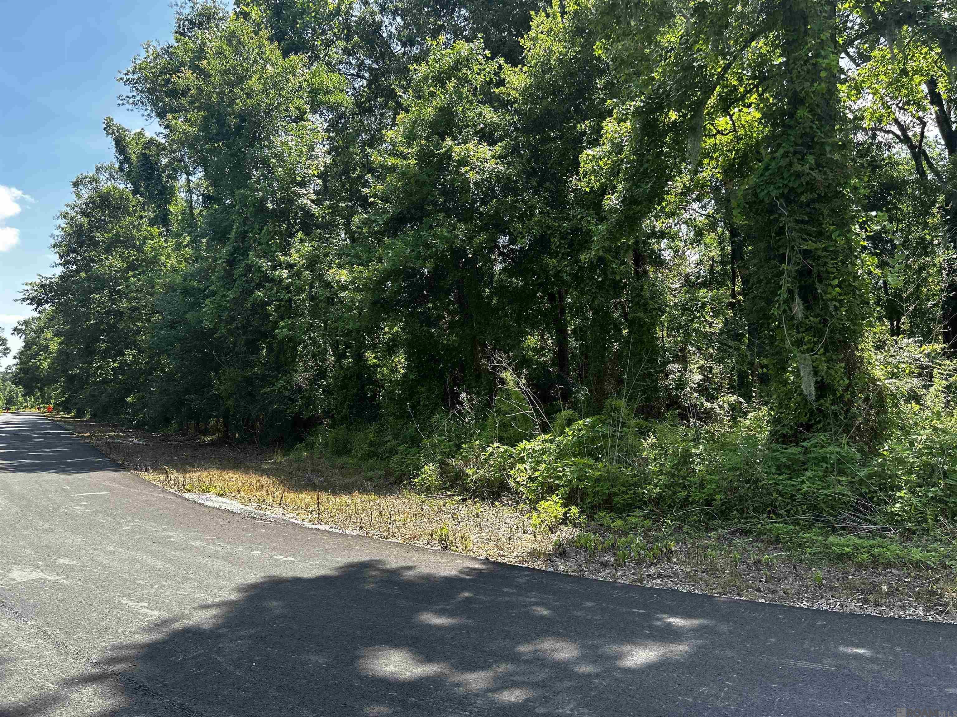 31 A 31 B Summerfield South Rd, Prairieville, Louisiana image 5