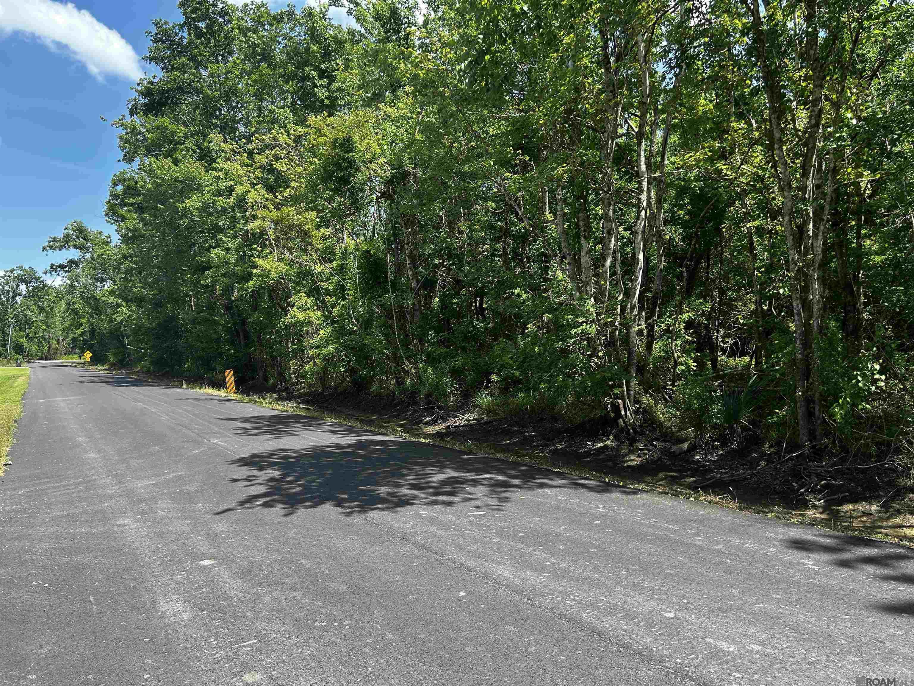 31 A 31 B Summerfield South Rd, Prairieville, Louisiana image 3