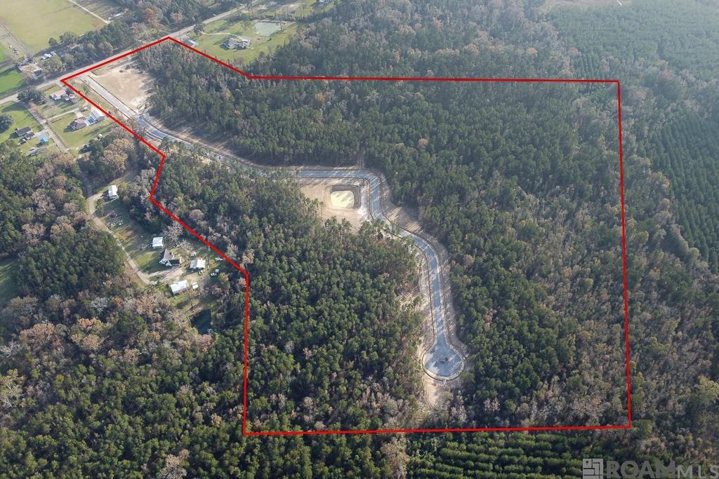 18520 Settlement Hill Trace, Livingston, Louisiana image 2