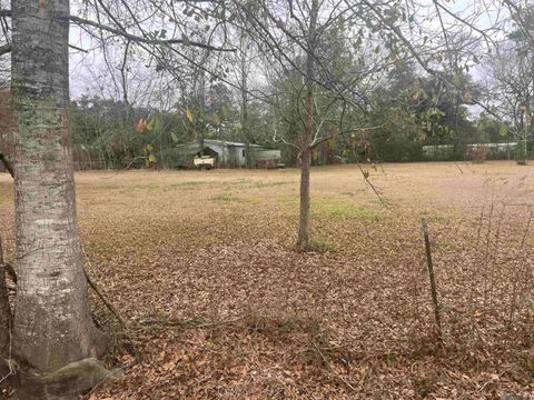 Vacant Land For Sale - TBD11 Pat's Lane<br/> Springfield, LA 70462