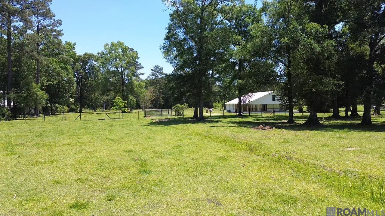 21465 La Glaise Ln, Livingston, Louisiana image 16