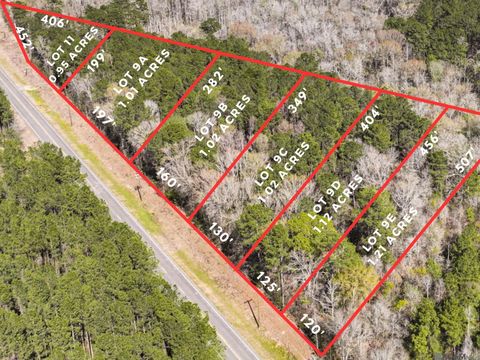 Vacant Land For Sale - LOT 9E La Hwy 42<br/> Livingston, LA 70754