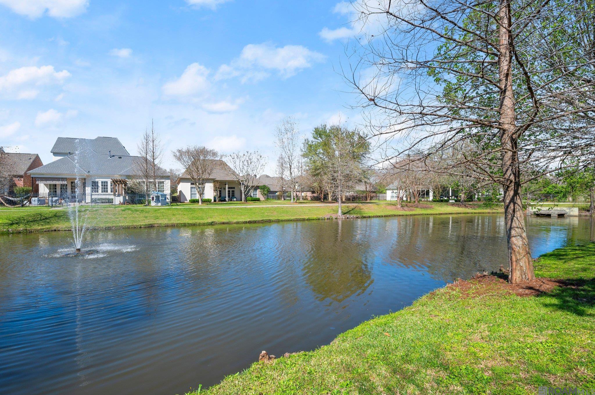 2944 Lac Dor Ave, Baton Rouge, Louisiana image 40
