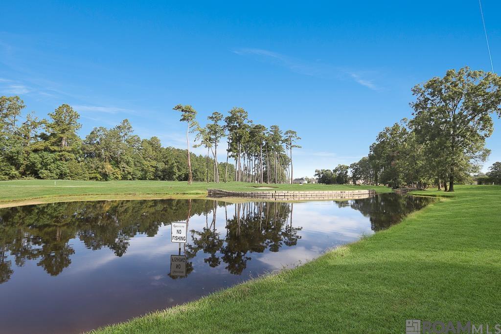 9630 South Creek Dr, Denham Springs, Louisiana image 22