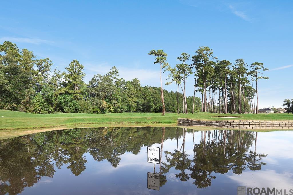 9630 South Creek Dr, Denham Springs, Louisiana image 23