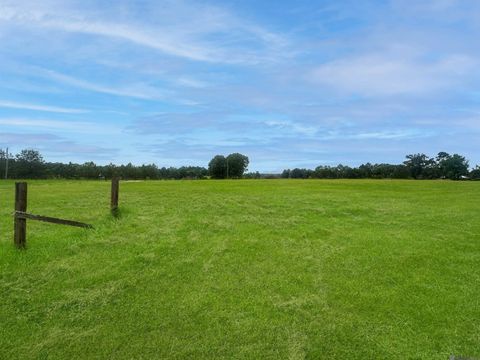 Vacant Land For Sale - 5-A-2-C-4 Uncle Sons Ln<br/> Saint Helena County, Denham Springs, LA 70706