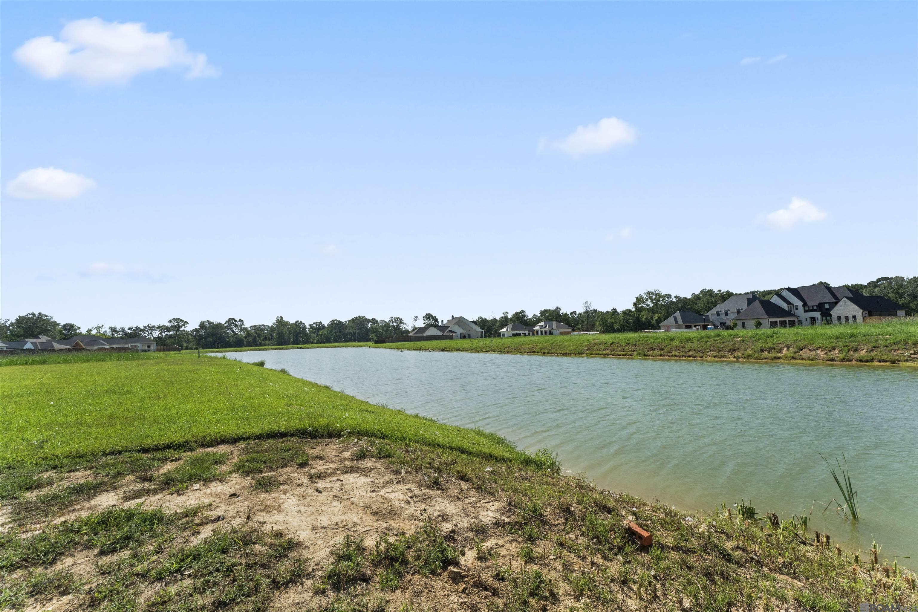 18971 Sanctuary Ave, Saint George, Louisiana image 27