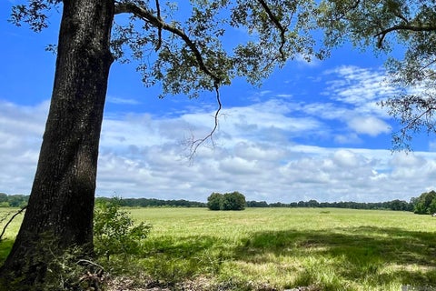 Vacant Land For Sale - 04 Hokaday Rd<br/> Slaughter, LA 70777