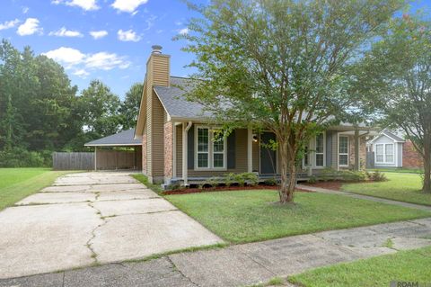 Homes For Sale - 13133 Country Park Ave<br/> East Baton Rouge County, Baton Rouge, LA 70816
