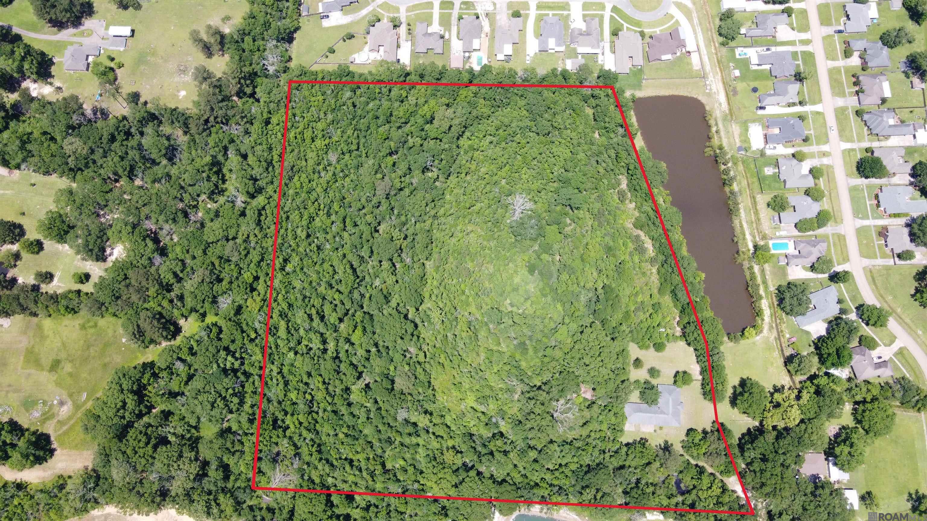 30821 Carey Oneal Rd, Denham Springs, Louisiana image 1
