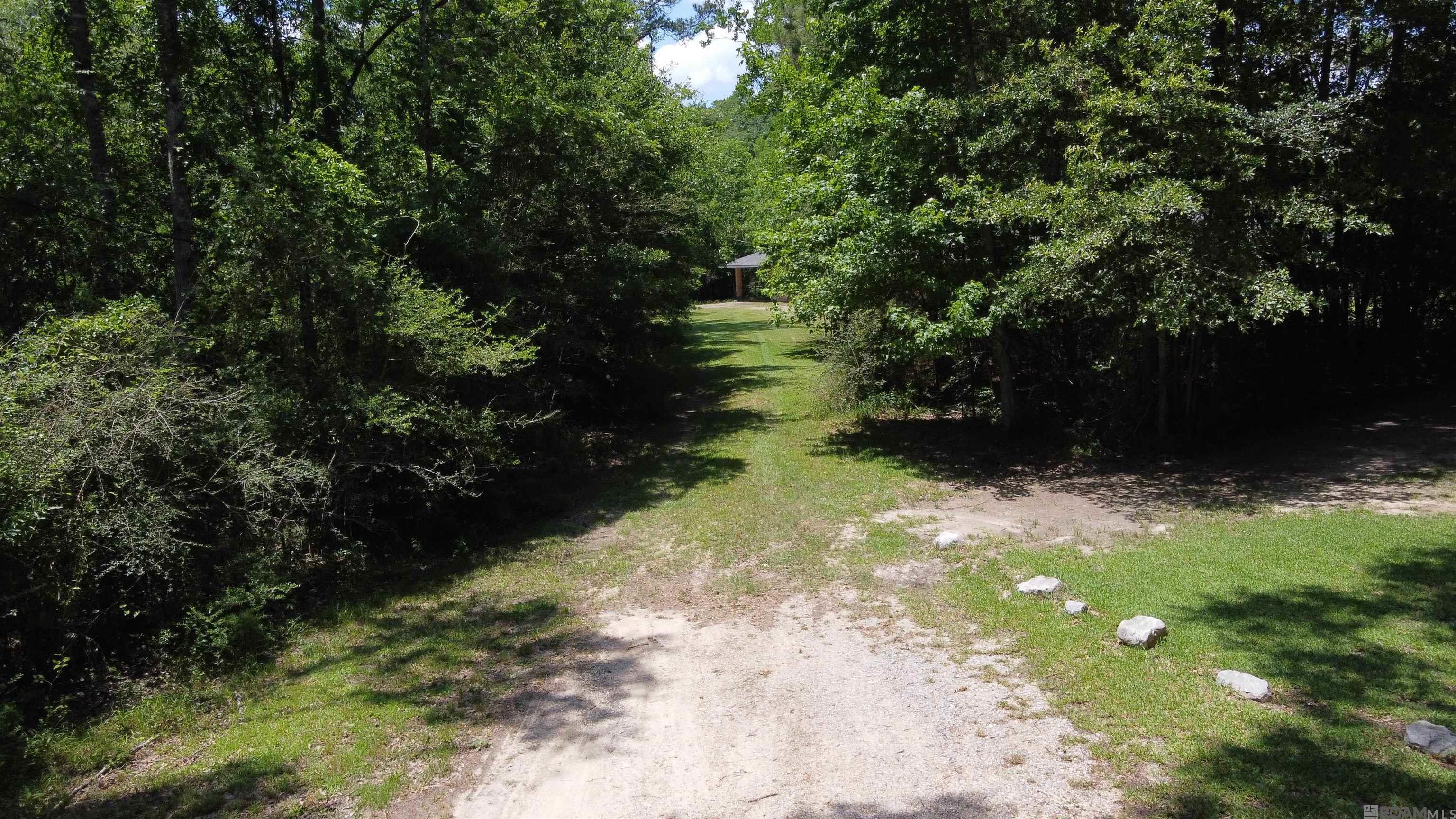 30821 Carey Oneal Rd, Denham Springs, Louisiana image 4