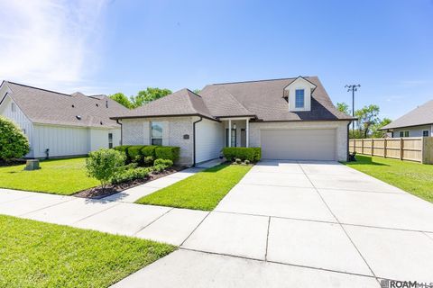 Homes For Sale - 14142 Dew Point Ave<br/> Baton Rouge, LA 70818