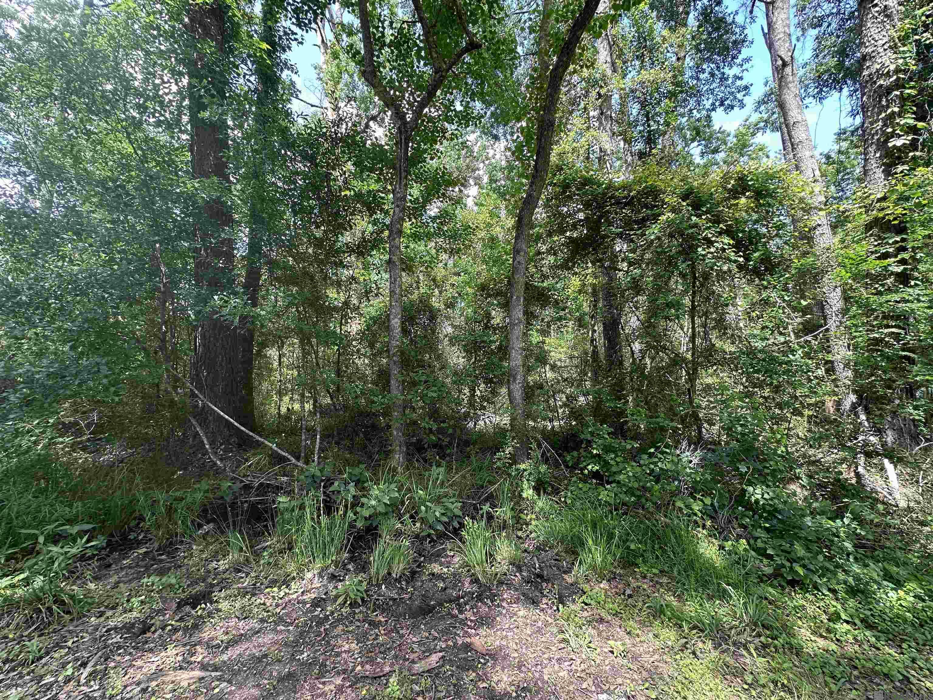 Lot 8 Tabony Ct, Walker, Louisiana image 7