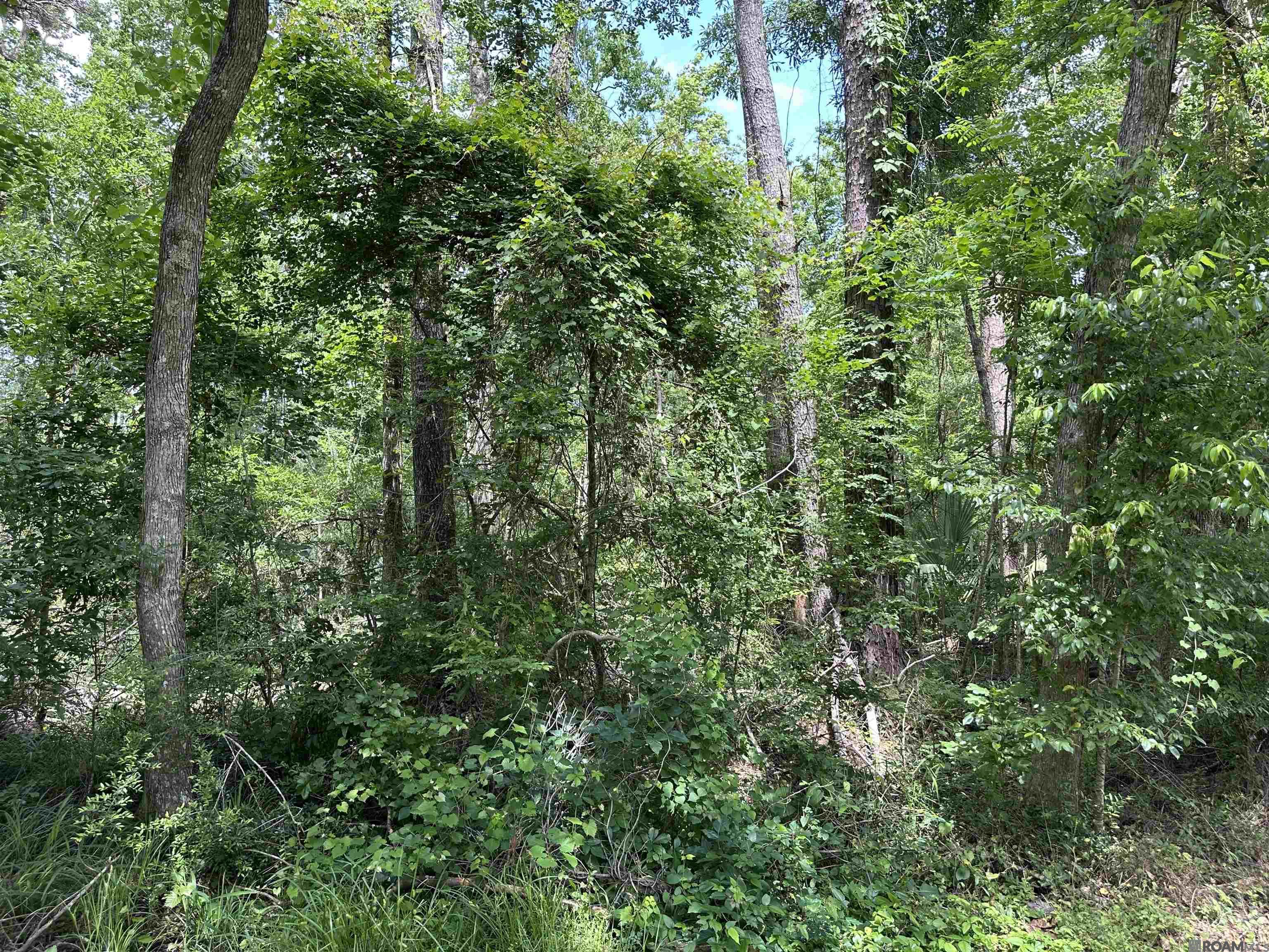 Lot 8 Tabony Ct, Walker, Louisiana image 5