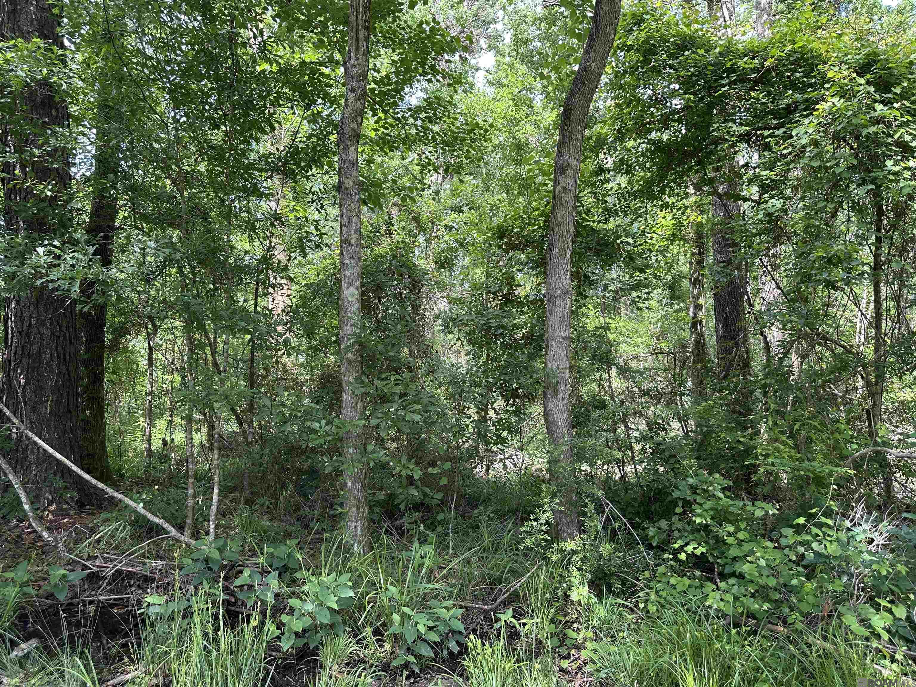 Lot 8 Tabony Ct, Walker, Louisiana image 6