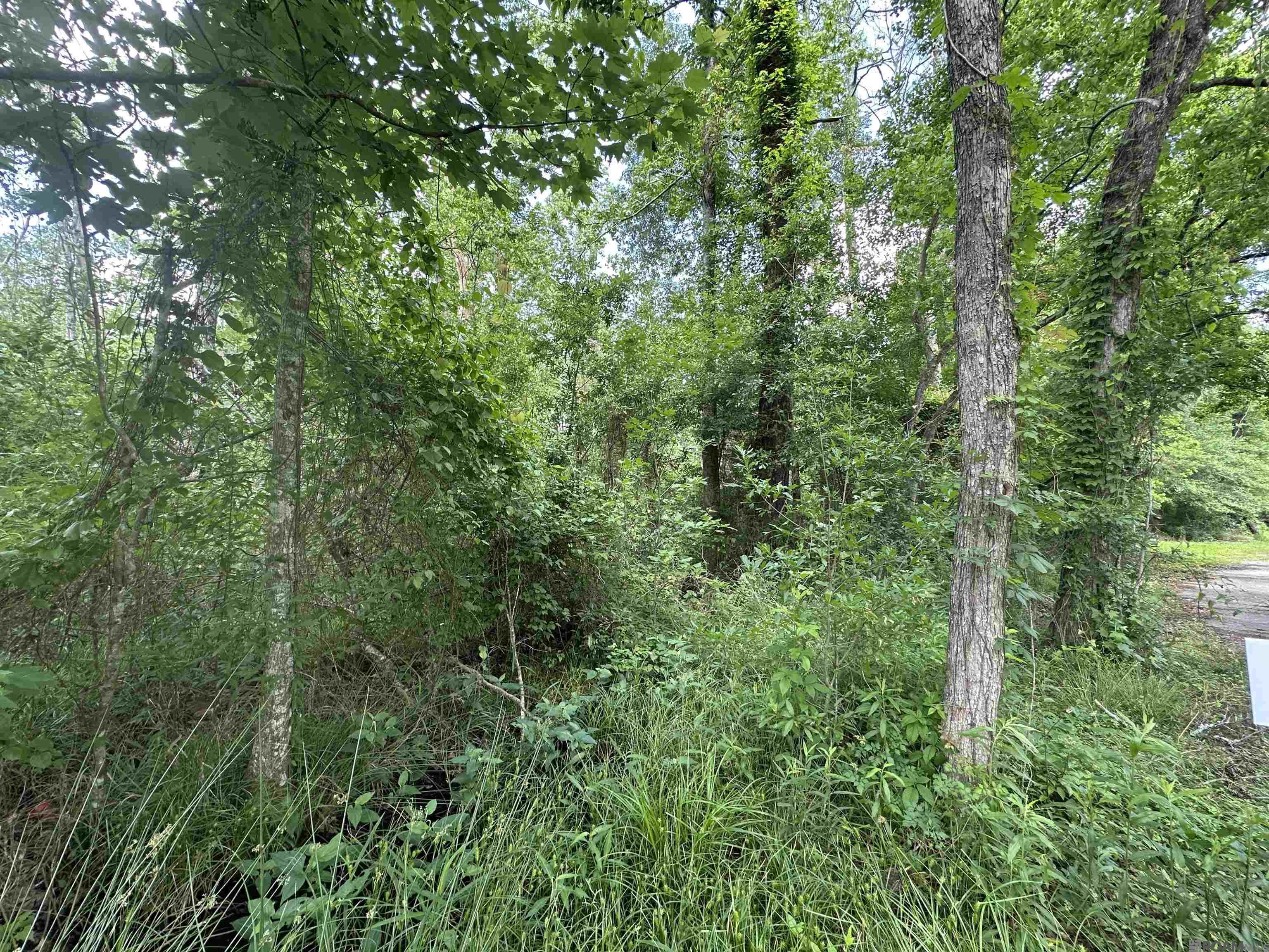 Lot 8 Tabony Ct, Walker, Louisiana image 1