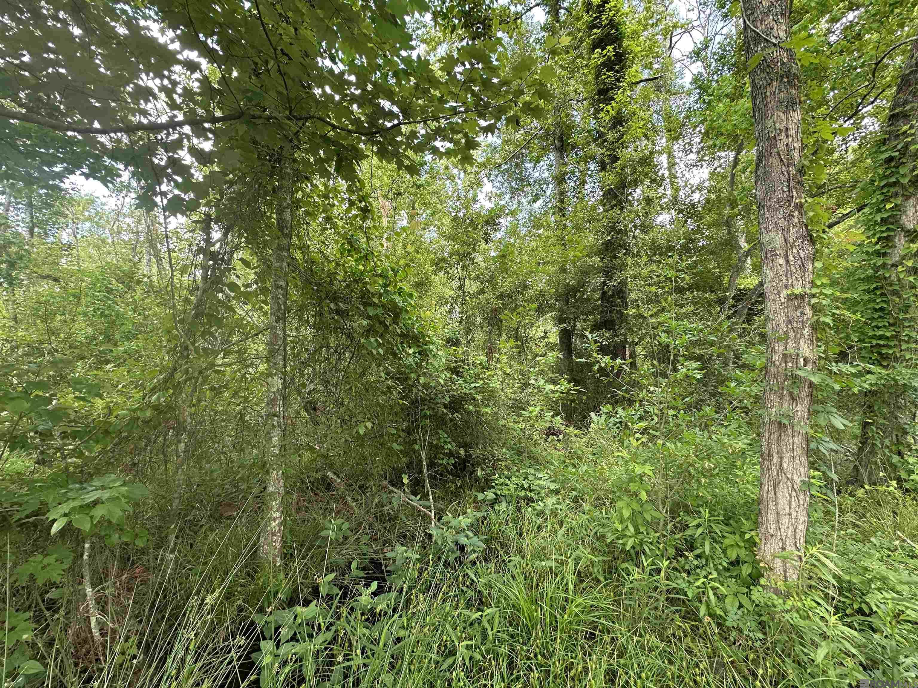 Lot 8 Tabony Ct, Walker, Louisiana image 3