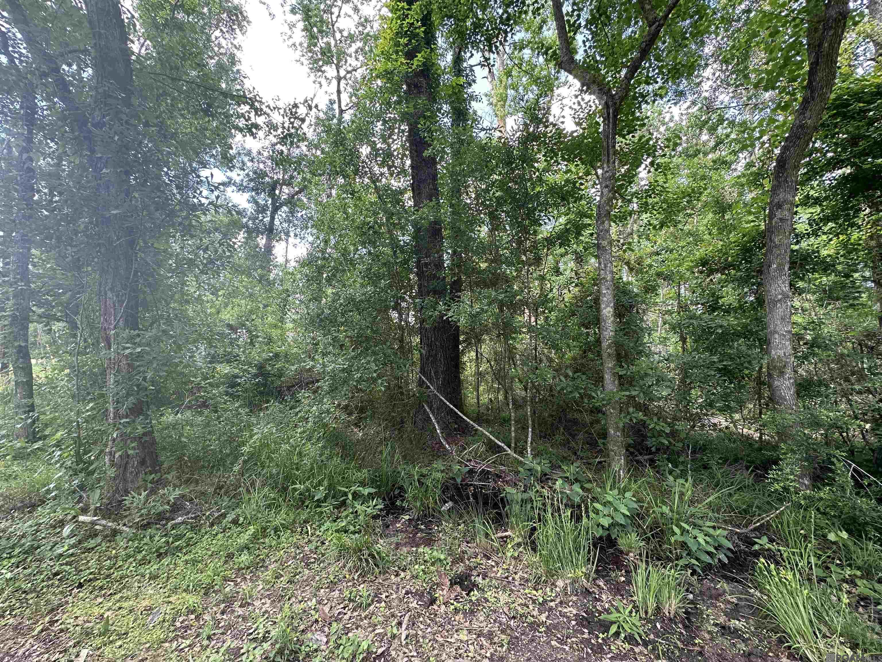 Lot 8 Tabony Ct, Walker, Louisiana image 4