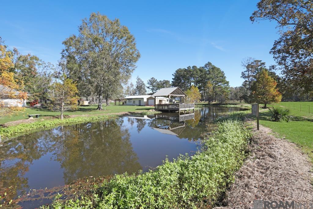 21090 Debbie Ln, Denham Springs, Louisiana image 37