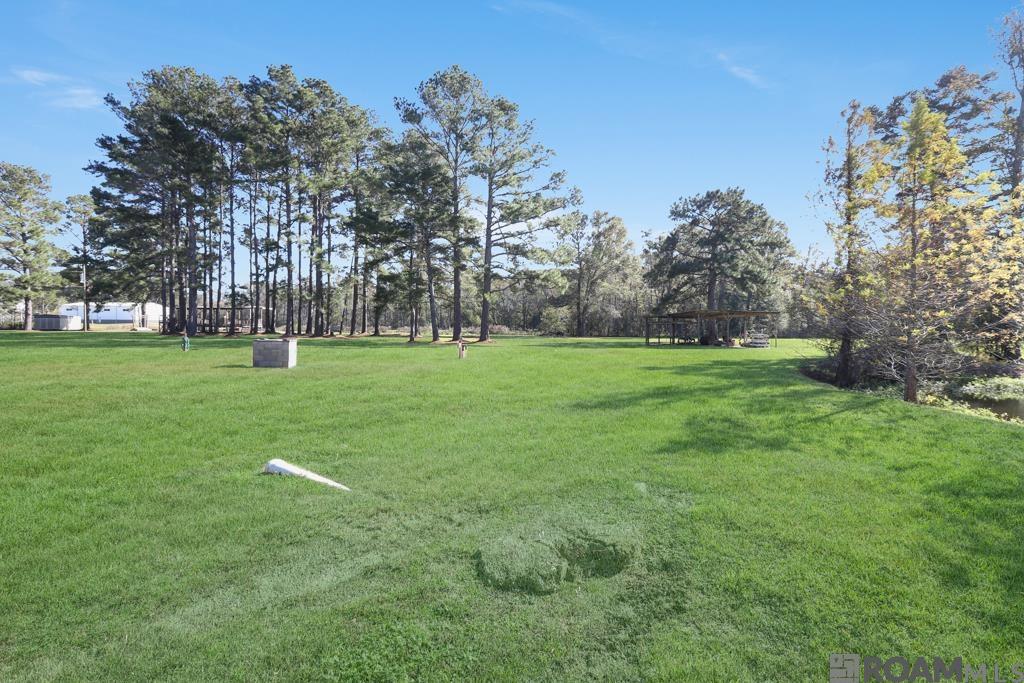 21090 Debbie Ln, Denham Springs, Louisiana image 38