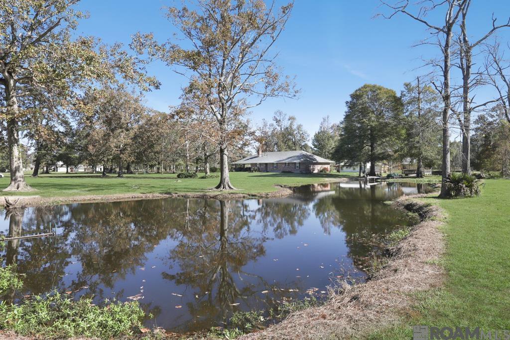 21090 Debbie Ln, Denham Springs, Louisiana image 35
