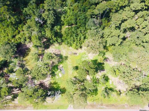 Vacant Land For Sale - 31495 La Hwy 1036<br/> Holden, LA 70744