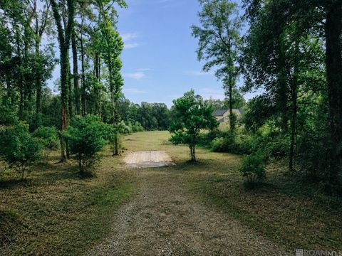 Vacant Land For Sale - 8637 Wildwood Dr<br/> Denham Springs, LA 70706