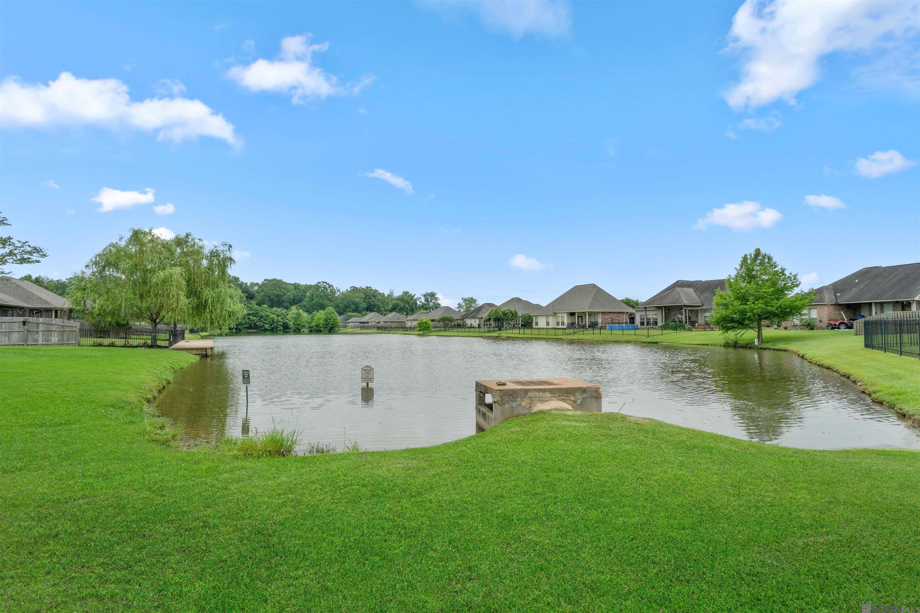 16817 River Birch Ave, Greenwell Springs, Louisiana image 24