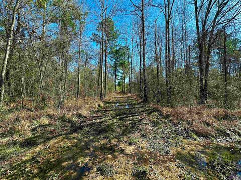 Vacant Land For Sale - D-4-A Stella Ln<br/> Walker, LA 70785