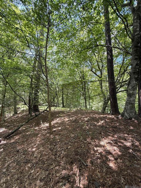 Vacant Land For Sale - 7735A Old Tunica Rd<br/> Saint Francisville, LA 70775