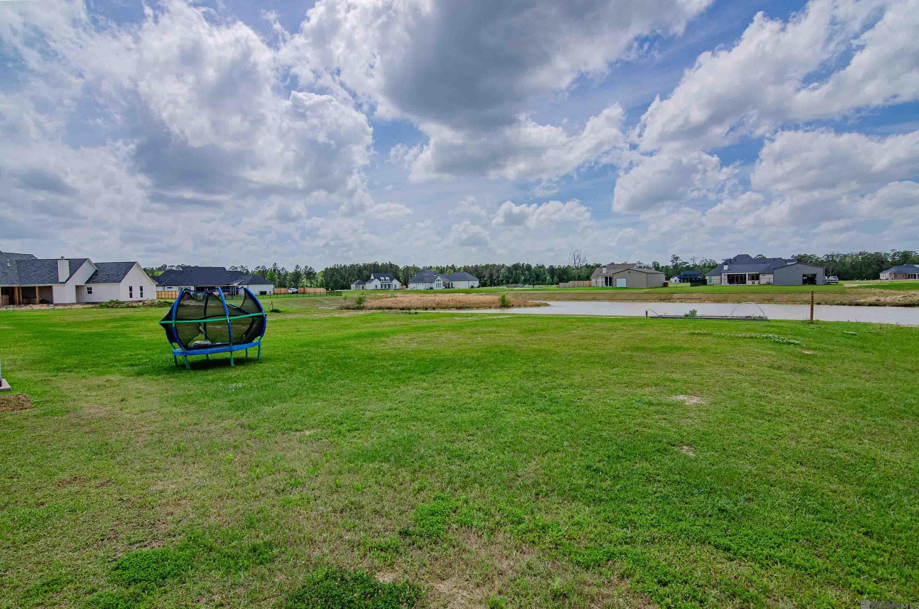 43526 Collyns Cove, Prairieville, Louisiana image 33
