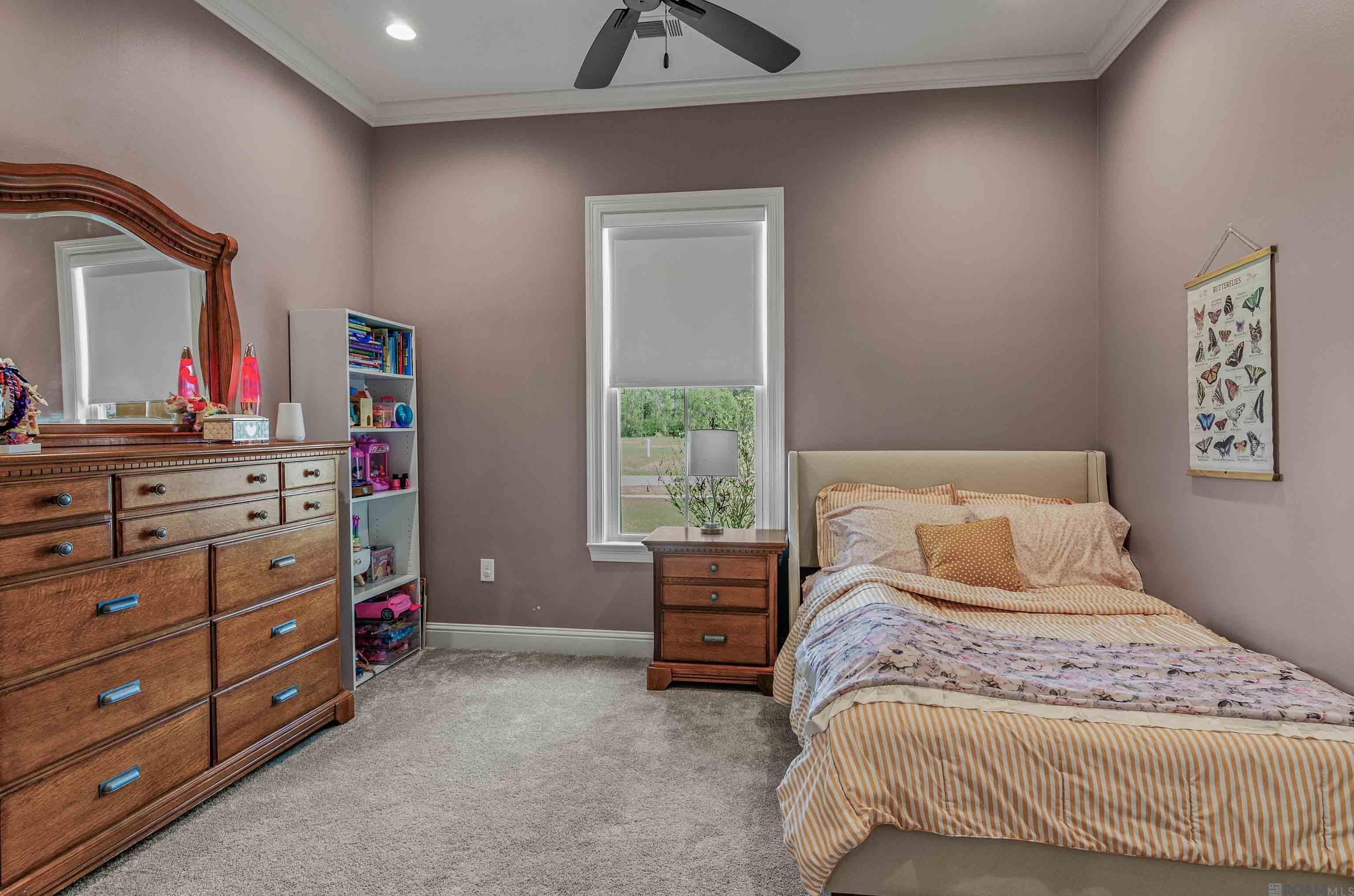 43526 Collyns Cove, Prairieville, Louisiana image 24