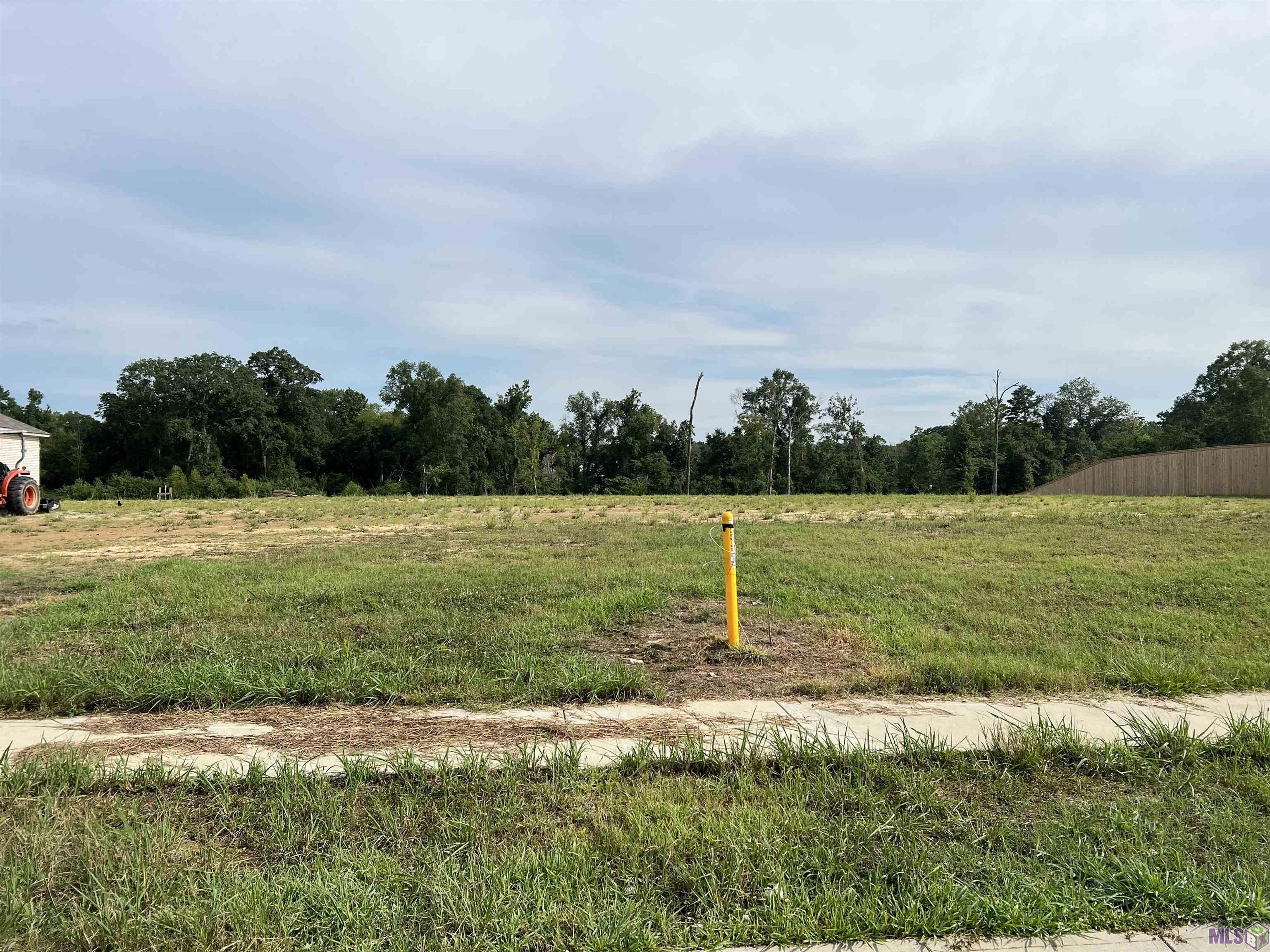 Josh Brown Rd, Gonzales, Louisiana image 4