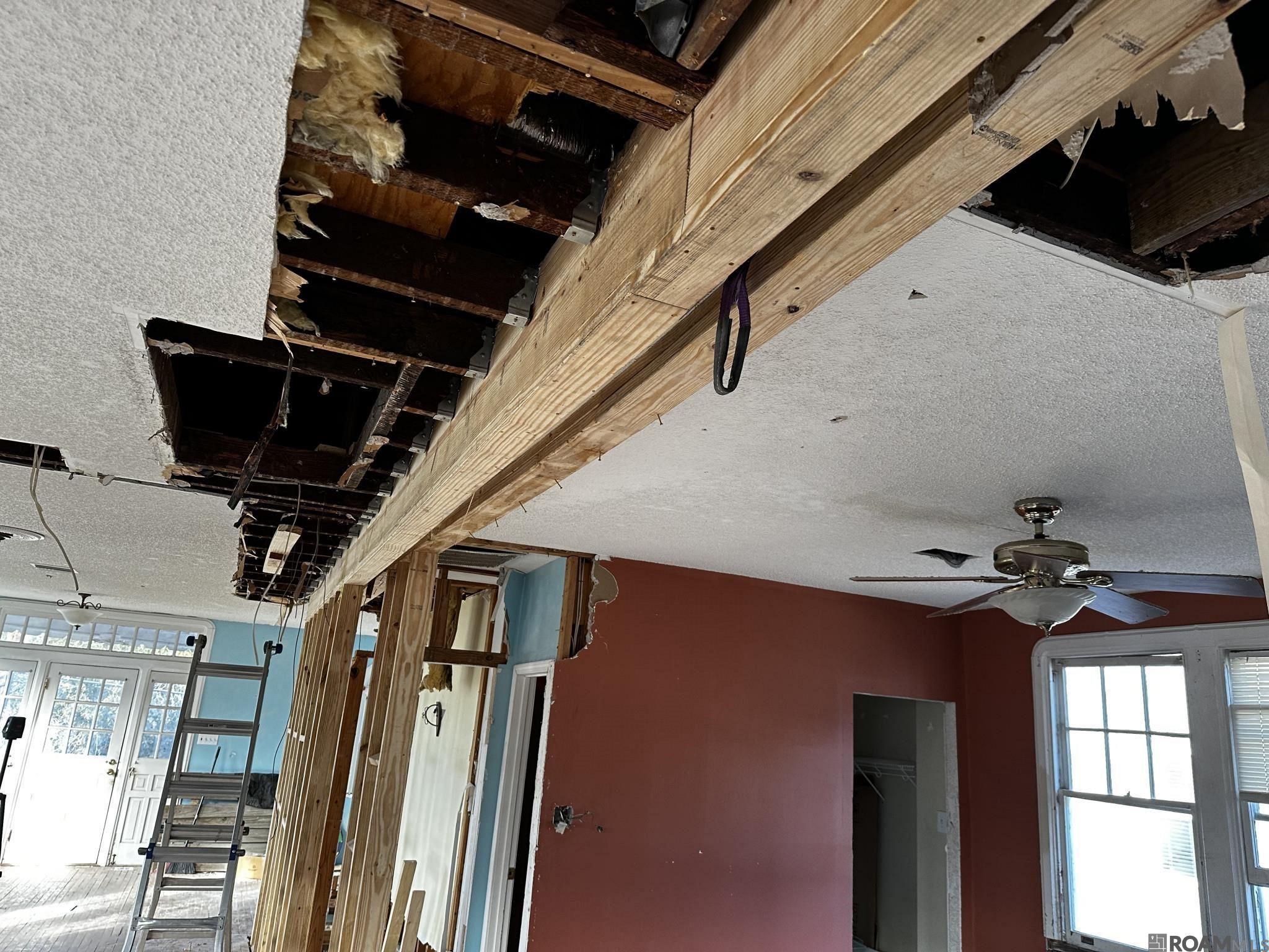 752 Germain Street, New Orleans, Louisiana image 3