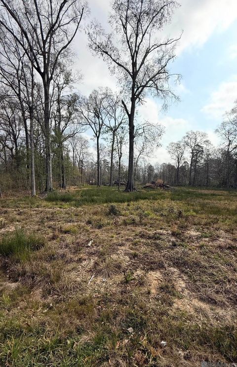 Vacant Land For Sale - 29386 Red Oak Dr<br/> Walker, LA 70785