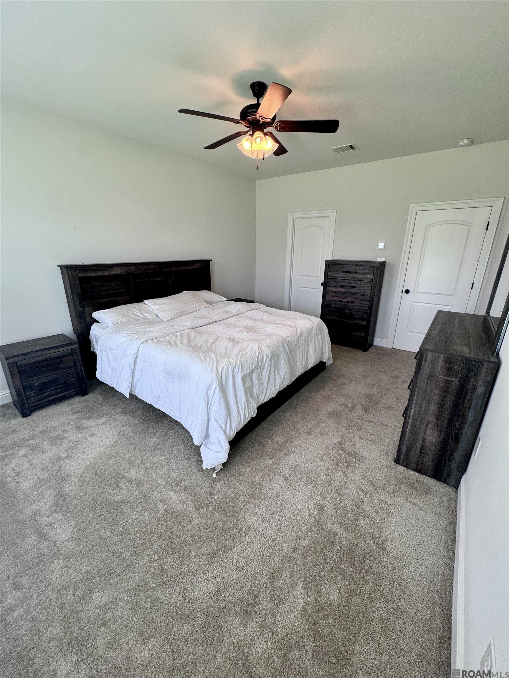 8900 Cresson Dr, Denham Springs, Louisiana image 5