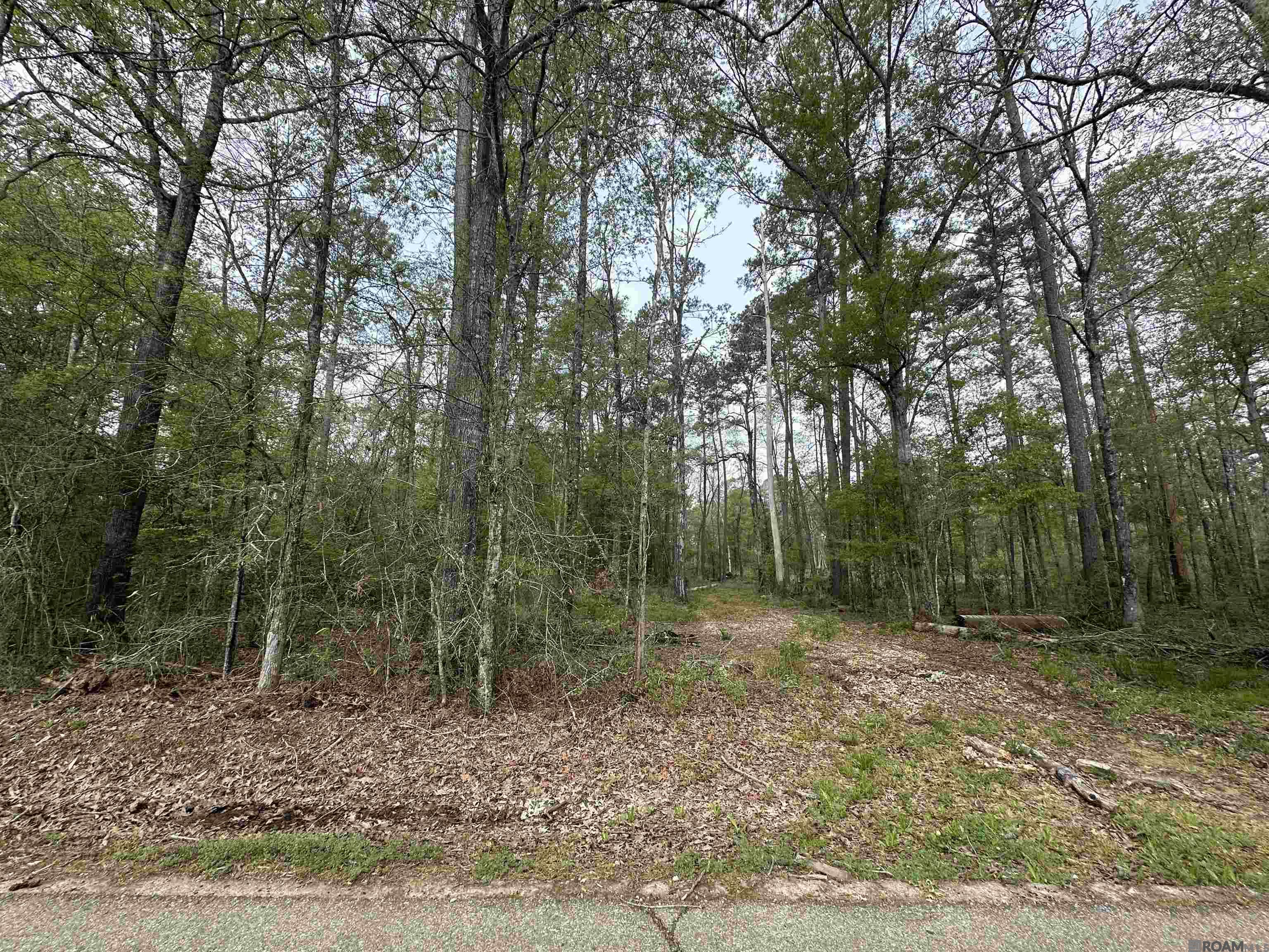TBD Tyler Ballard Rd, Walker, Louisiana image 8