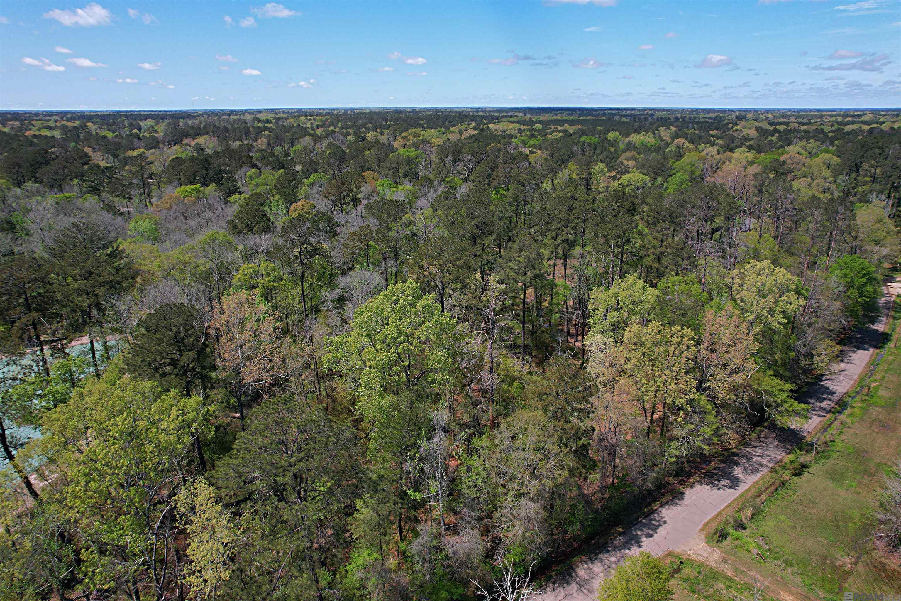 TBD Tyler Ballard Rd, Walker, Louisiana image 1